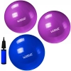 Kit 2 Bolas Suia 55 Cm + 1 Bola 65 Cm + Mini Bomba de Inflar