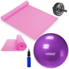 Kit Bola 55 Cm Roxa Yoga e Pilates + Colchonete Eva Rosa + Roda Abdominal + Mini Bomba