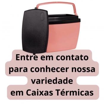 Caixa Termica Rosa / Pssego Cooler Pequeno 6 Litros Mor / 8 Latas / para Lanches e Bebidas