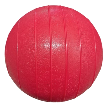 Mini Bola de Peso para Exerccios Treino Fisioterapia 0,5 Kg