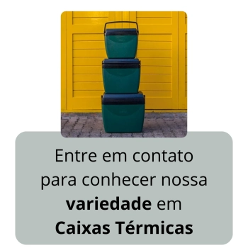 Caixa Trmica 18 Litros Verde e Preta Cooler com Ala Mor para Camping e Praia