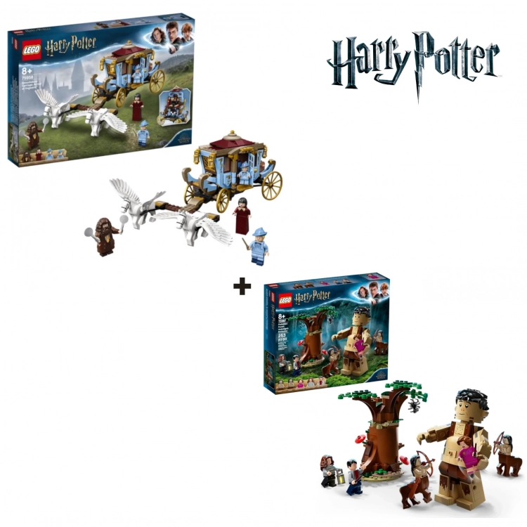 Comprar Lego Harry Potter - A Floresta Proibida: O Encontro de